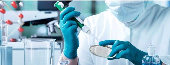 司法親子鑒定需要多少錢