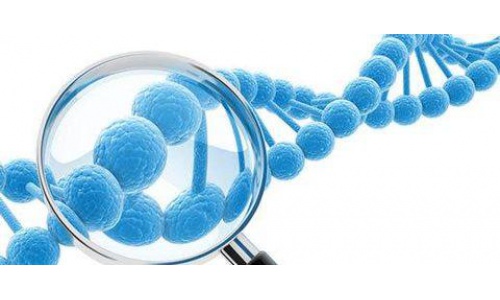 東莞親子鑒定價格 東莞親子鑒定價格