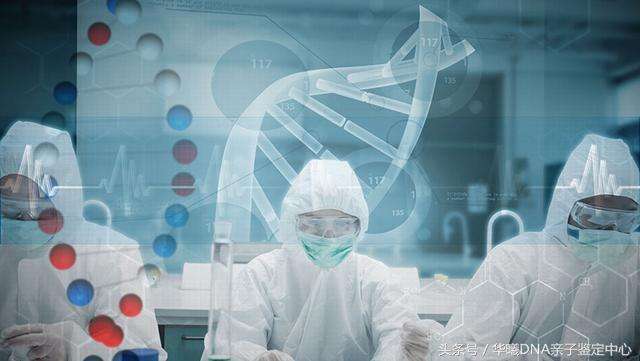 司法DNA親子鑒定 司法DNA親子鑒定