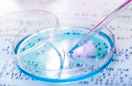 親子鑒定用什么材料