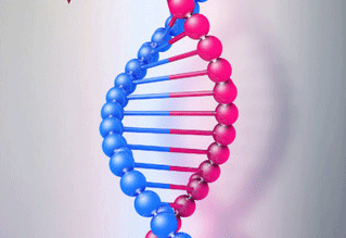 怎么知道有沒有血緣 怎么知道有沒有血緣