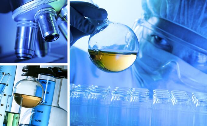 什么價格親子鑒定準