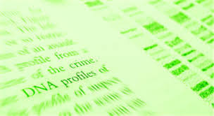 DNA檢測親生關系