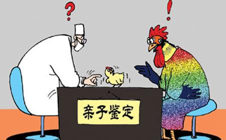 個人親子鑒定拿報告需要多久？