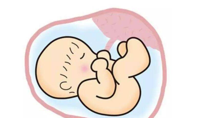 現在做絨毛親子鑒定需要準備什么東西?