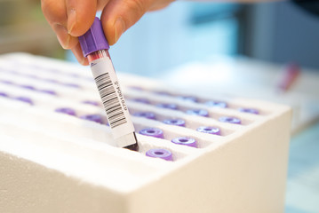 了解親子關系需多少錢